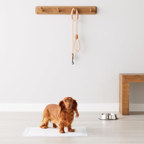 Dog Pee Pads (100-Pack): 22x22 inches, leak-proof, quick-dry, standard absorbency for potty training. Blue & white. - Mingle & Moa