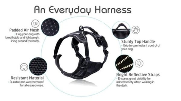 Rabbitgoo No-Pull Dog Harness, Large, Black – Adjustable, Soft Padded, Reflective Vest with Handle & 2 Leash Clips. - Mingle & Moa