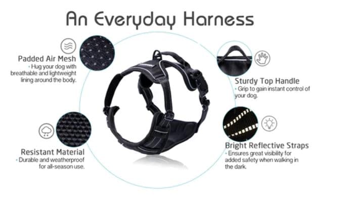 Rabbitgoo No-Pull Dog Harness, Large, Black – Adjustable, Soft Padded, Reflective Vest with Handle & 2 Leash Clips. - Mingle & Moa