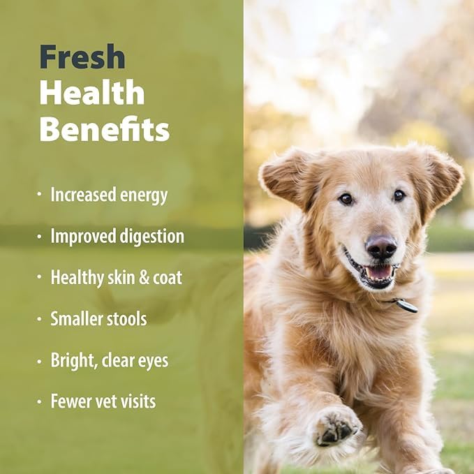 JustFoodForDogs Frozen Fresh Dog Food, Chicken & Rice Recipe, 18 oz (Pack of 7) - Mingle & Moa