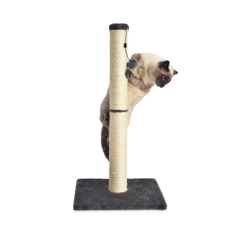 Amazon Basics Cat Scratcher – 31.5" Scratching Post for Cats & Kittens, Grey - Mingle & Moa