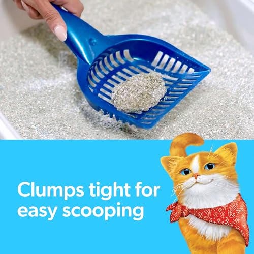 Extreme Clumping Cat Litter – Mountain Spring, 14 lb - Mingle & Moa