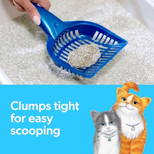 Clumping Cat Litter – Multi-Cat, Odor Control, 14 lb - Mingle & Moa