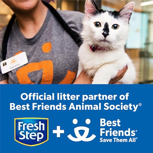 Clumping Cat Litter – Multi-Cat, Odor Control, 14 lb - Mingle & Moa