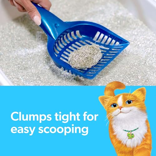 Clumping Cat Litter with Febreze Gain Scent, 14 lb - Mingle & Moa