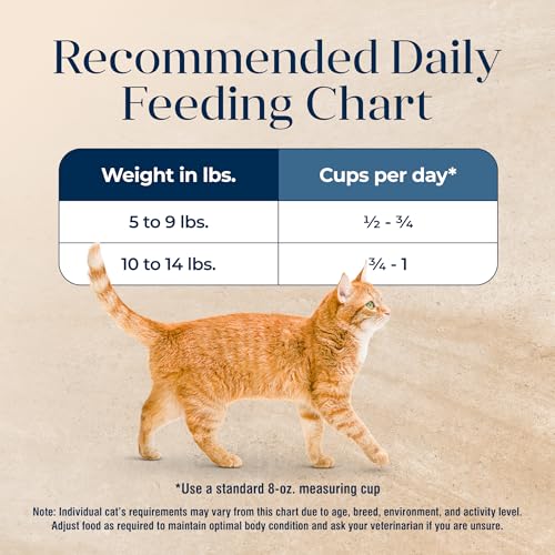 Blue Buffalo Basics Grain-Free Dry Cat Food, Indoor, Turkey & Potato, 11 lb - Mingle & Moa