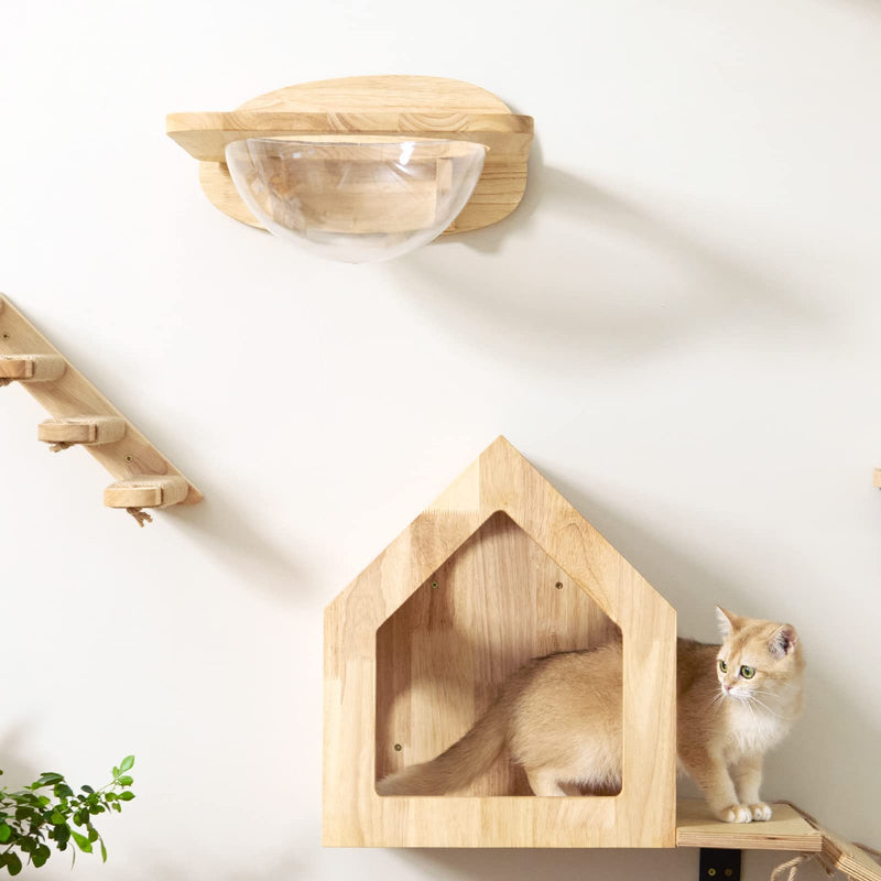 FUKUMARU Transparent Capsule Cat Wall Set – with 2 Pedals (Holds up to 35lbs) - Mingle & Moa