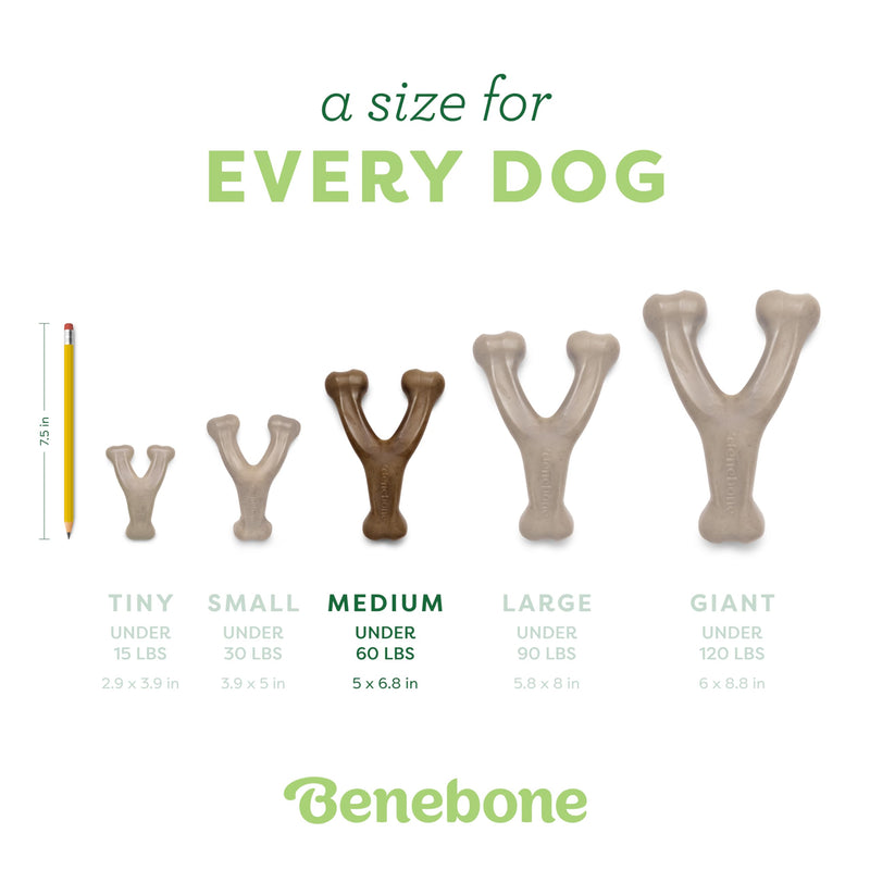 Benebone Wishbone Medium - Durable Dog Chew Toy with Real Bacon, Made in USA - Mingle & Moa
