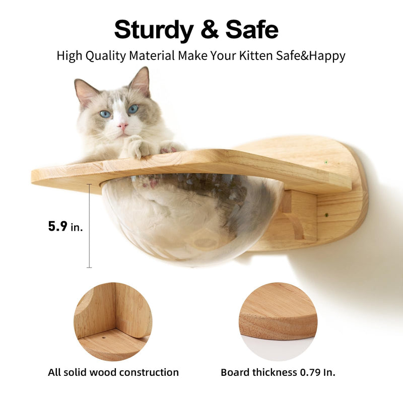 FUKUMARU Transparent Capsule Cat Wall Set – with 2 Pedals (Holds up to 35lbs) - Mingle & Moa
