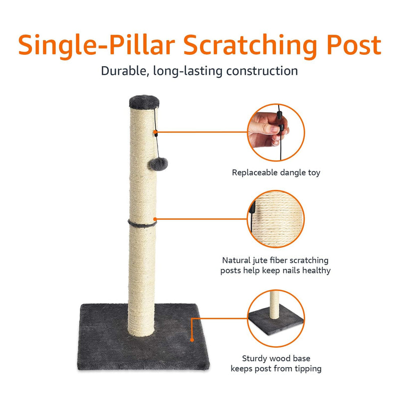 Amazon Basics Cat Scratcher – 31.5" Scratching Post for Cats & Kittens, Grey - Mingle & Moa