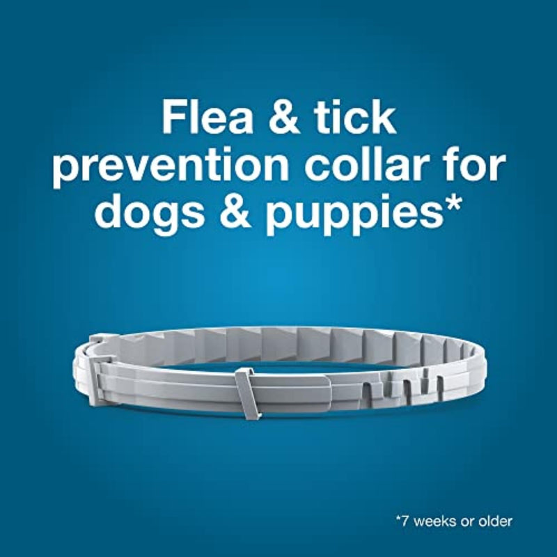 Seresto Large Dog Flea & Tick Collar | Vet-Recommended | 8-Month Protection for Dogs Over 18 lbs. - Mingle & Moa