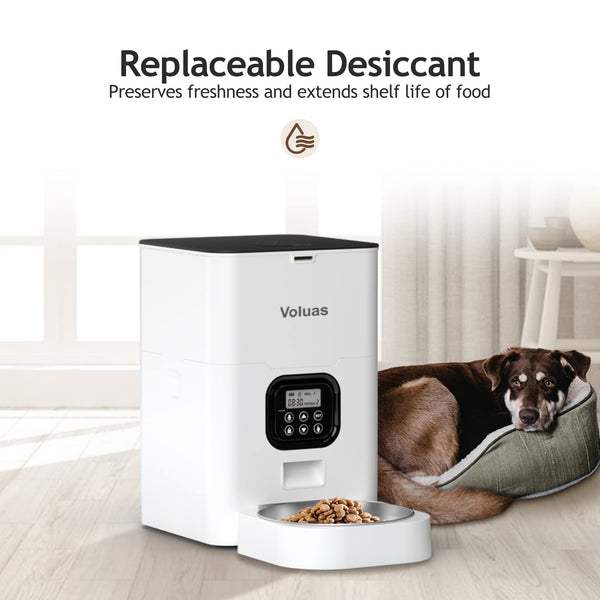 Automatic Cat Feeder with Timer & Voice Recorder - Mingle & Moa