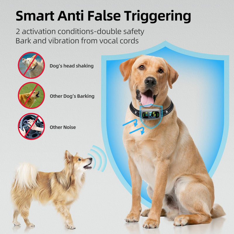 FAFAFROG Smart Bark Collar (Grey) - Mingle & Moa