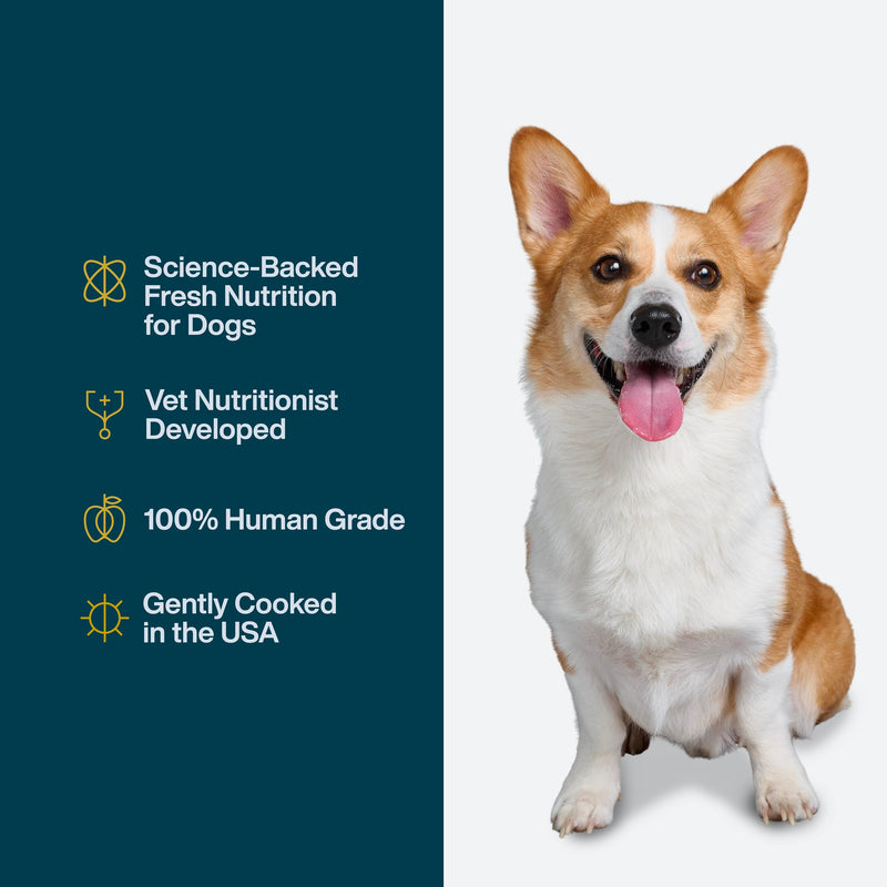JustFoodForDogs JustFresh Home-Cooked Chicken and Beef Dog Food Variety Pack, 12 oz - 8 Pack - Mingle & Moa
