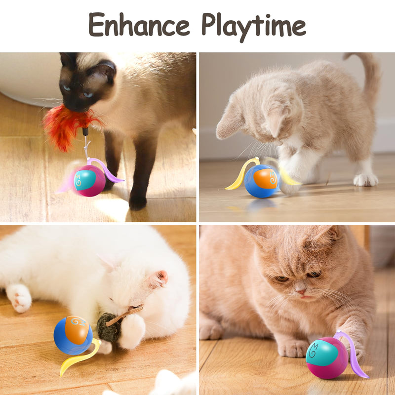 Migipaws Interactive Cat Toy Set (Blue) – Motion Activated Rolling Ball with Fluffy Tail & Mouse Accessories, Rechargeable, Fun Indoor Chase Toy for Cats - Mingle & Moa