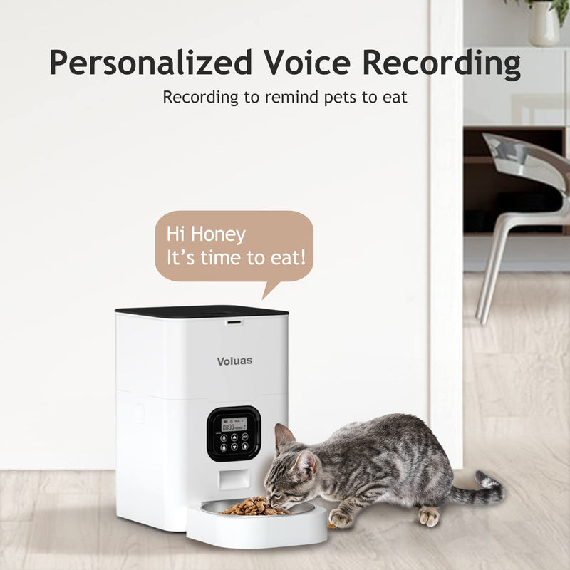 Automatic Cat Feeder with Timer & Voice Recorder - Mingle & Moa