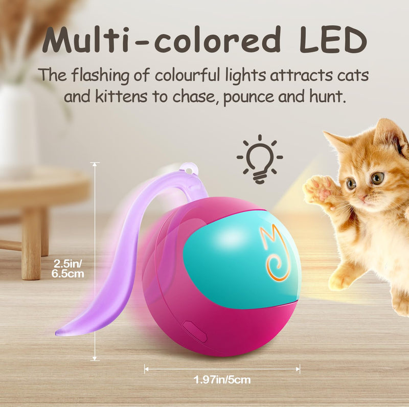 Migipaws Interactive Cat Toy Set (Rose) – Motion Activated Rolling Ball with Fluffy Tail &amp; Mouse Accessories, Rechargeable, Fun Indoor Chase Toy for Cats - Mingle & Moa