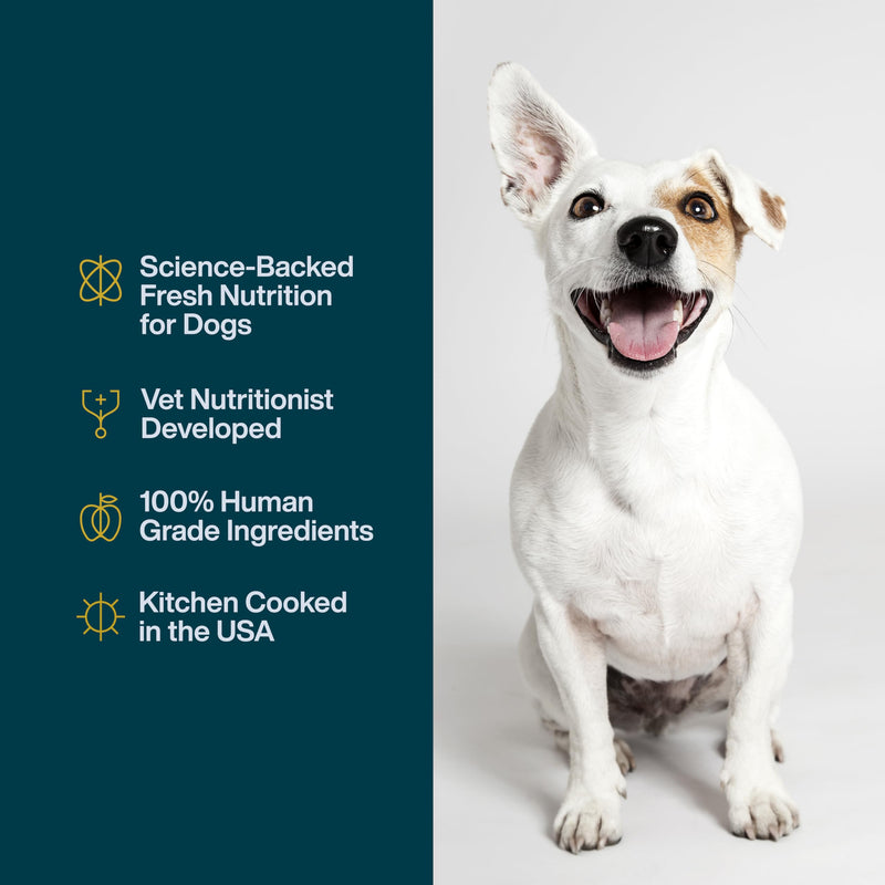 JustFoodForDogs JustFresh Home-Cooked Turkey Dog Food, 12 oz - 7 Pack - Mingle & Moa