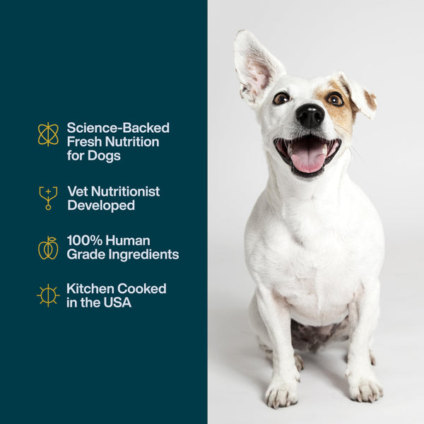 JustFoodForDogs Just Fresh Home-Cooked Pork Dog Food, 12 oz - 7 Pack - Mingle & Moa