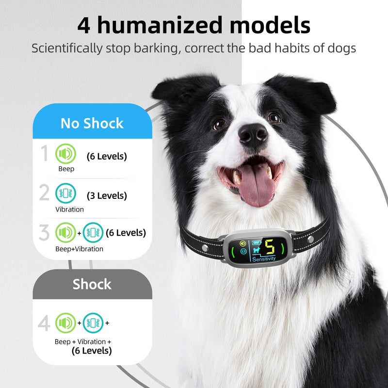 FAFAFROG Smart Bark Collar (Grey) - Mingle & Moa