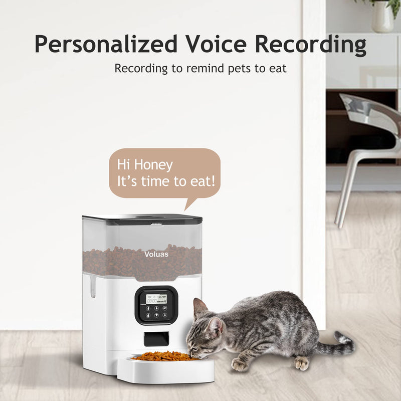 Automatic Pet Feeder with Timer & Voice Recorder - Mingle & Moa