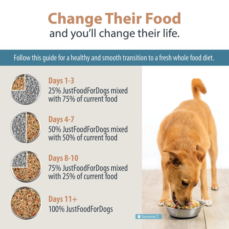 JustFoodForDogs Frozen Fresh Dog Food, Chicken & Rice Recipe, 18 oz (Pack of 7) - Mingle & Moa