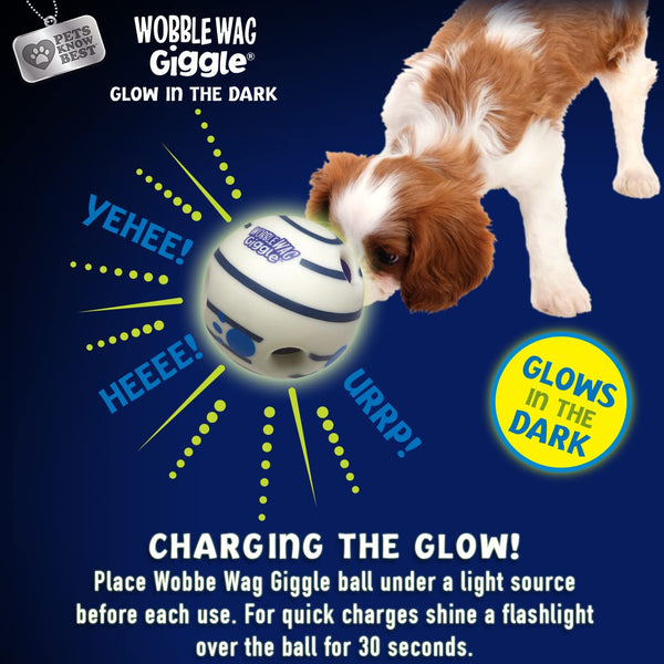 Wobble Wag Giggle & Glow Toy – 2 Pack - Mingle & Moa