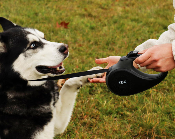 TUG 16ft Retractable Dog Leash with Anti-Slip Handle – Medium, Black/Grey - Mingle & Moa