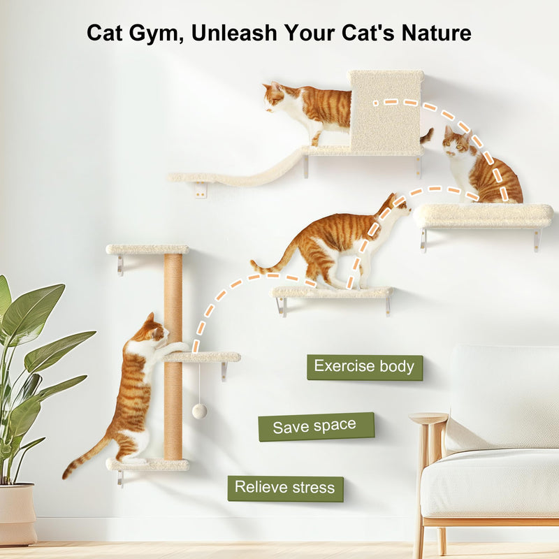FUKUMARU 4-in-1 Large Cat Wall Set – Beige (For 16" Drywall) - Mingle & Moa