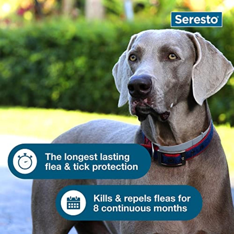 Seresto Large Dog Flea & Tick Collar | Vet-Recommended | 8-Month Protection for Dogs Over 18 lbs. - Mingle & Moa