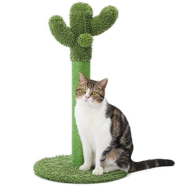 Made4Pets 25.6" Green Cactus Cat Scratcher - Mingle & Moa
