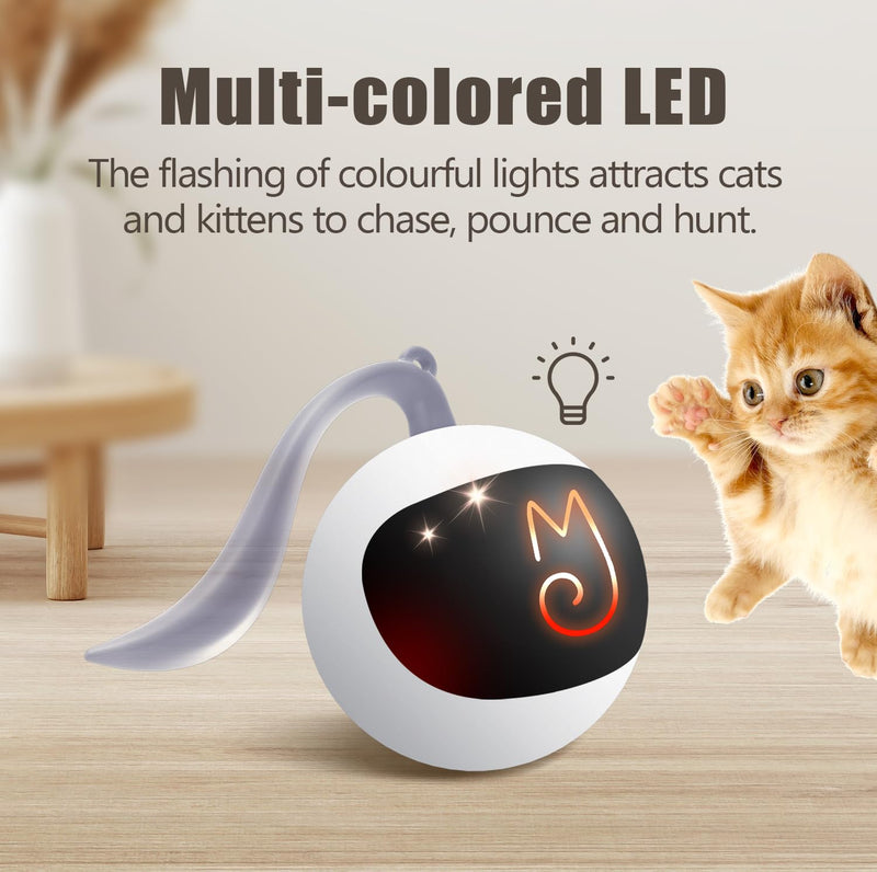Migipaws Interactive Cat Toy Set (White) – Motion Activated Rolling Ball with Fluffy Tail & Mouse Accessories, Rechargeable, Fun Indoor Chase Toy for Cats - Mingle & Moa