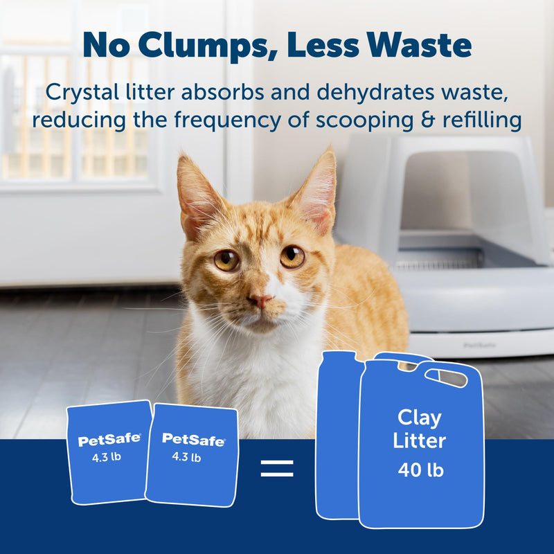 ScoopFree Crystal Cat Litter, Original Blue, 8.6 lb (2 x 4.3 lb) - Mingle & Moa