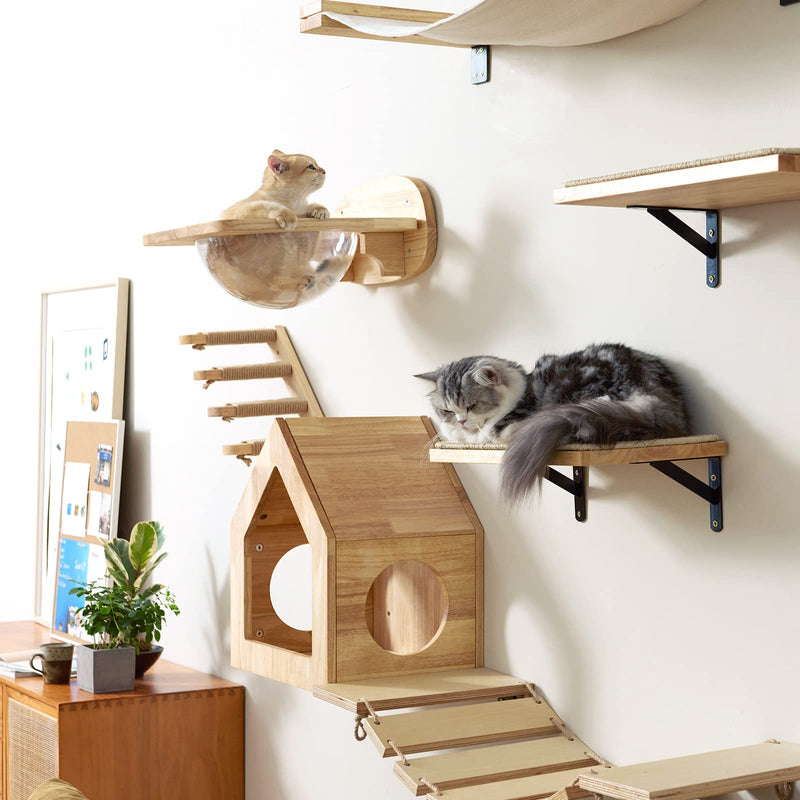 FUKUMARU Transparent Capsule Cat Wall Set – with 2 Pedals (Holds up to 35lbs) - Mingle & Moa
