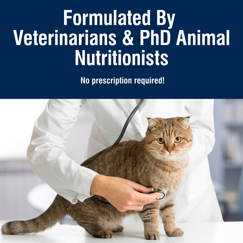 Blue Buffalo Total Support Dry Cat Food, Chicken, 11 lb - Mingle & Moa
