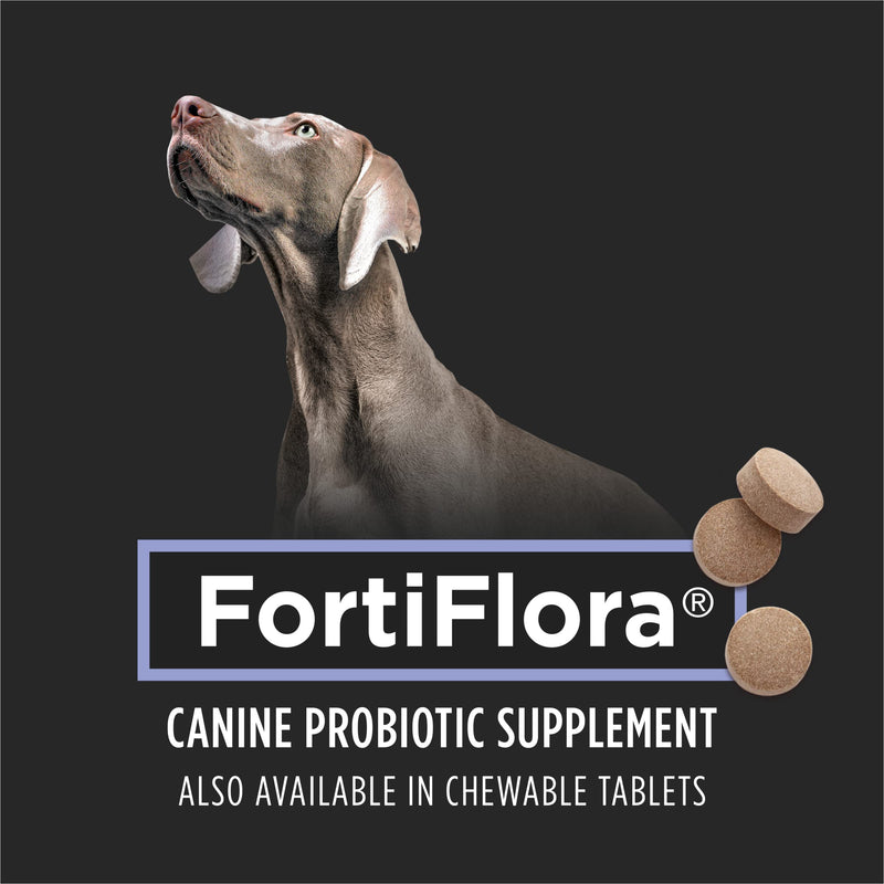 Purina Pro Plan FortiFlora Dog Probiotic Supplement – 30-count box for digestive health support. Vet-recommended. - Mingle & Moa
