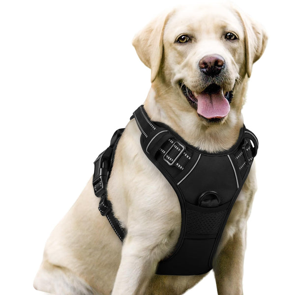 Rabbitgoo No-Pull Dog Harness, Large, Black – Adjustable, Soft Padded, Reflective Vest with Handle & 2 Leash Clips. - Mingle & Moa