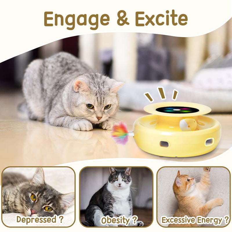 ORSDA 2-in-1 Automatic Cat Toy - Mingle & Moa