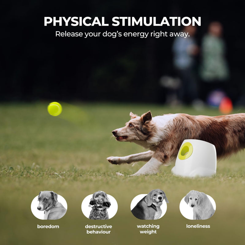 ALL FOR PAWS Automatic Dog Ball Launcher – Interactive Toy for Medium/Large Dogs - Mingle & Moa