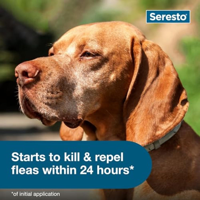 Seresto Large Dog Flea & Tick Collar | Vet-Recommended | 8-Month Protection for Dogs Over 18 lbs. - Mingle & Moa