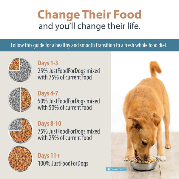 JustFoodForDogs Frozen Fresh Dog Food for Sensitive Stomachs, Balanced Remedy Recipe, 18 oz (Pack of 7) - Mingle & Moa