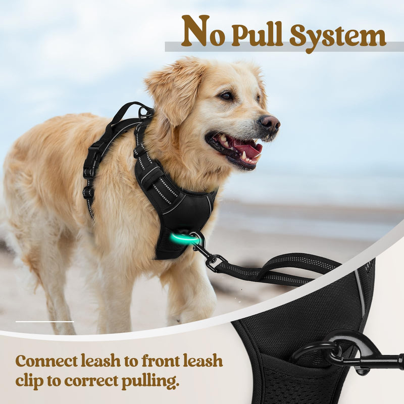 Rabbitgoo No-Pull Dog Harness, Large, Black – Adjustable, Soft Padded, Reflective Vest with Handle & 2 Leash Clips. - Mingle & Moa