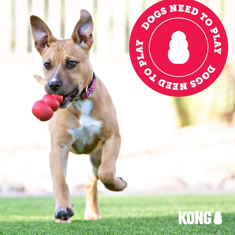KONG Flyer Small – 2 Pack - Mingle & Moa