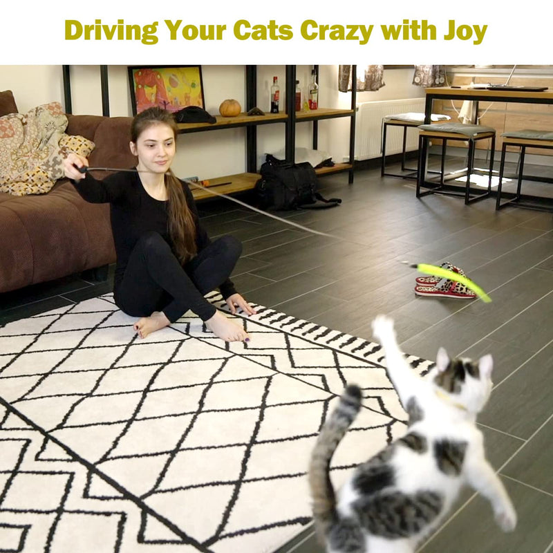 MeoHui Retractable Cat Wand & Feather Toys - Mingle & Moa