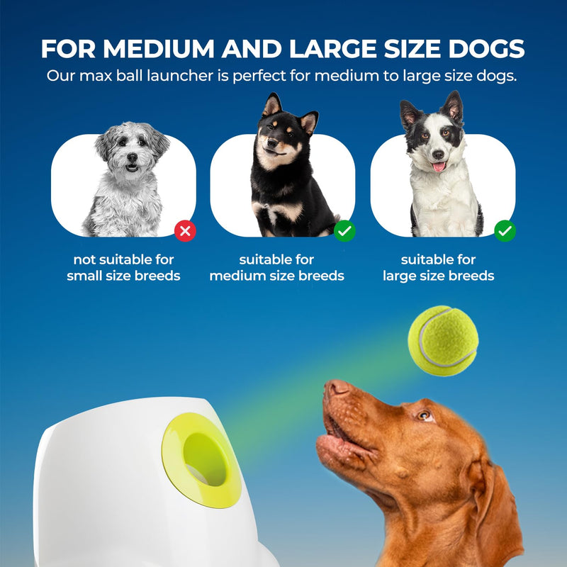 ALL FOR PAWS Automatic Dog Ball Launcher – Interactive Toy for Medium/Large Dogs - Mingle & Moa