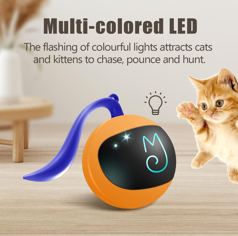 Migipaws Interactive Cat Toy Set (Orange) – Motion Activated Rolling Ball with Fluffy Tail & Mouse Accessories, Rechargeable, Fun Indoor Chase Toy for Cats - Mingle & Moa