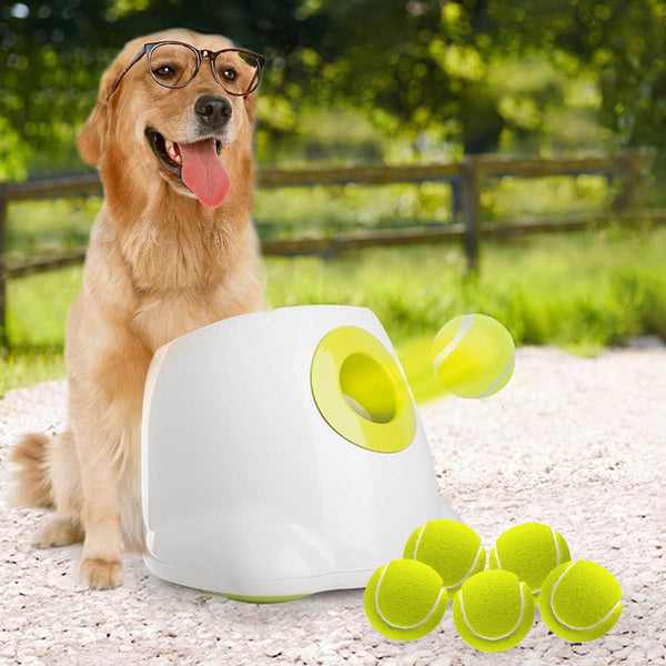 ALL FOR PAWS Automatic Dog Ball Launcher – Interactive Toy for Medium/Large Dogs - Mingle & Moa