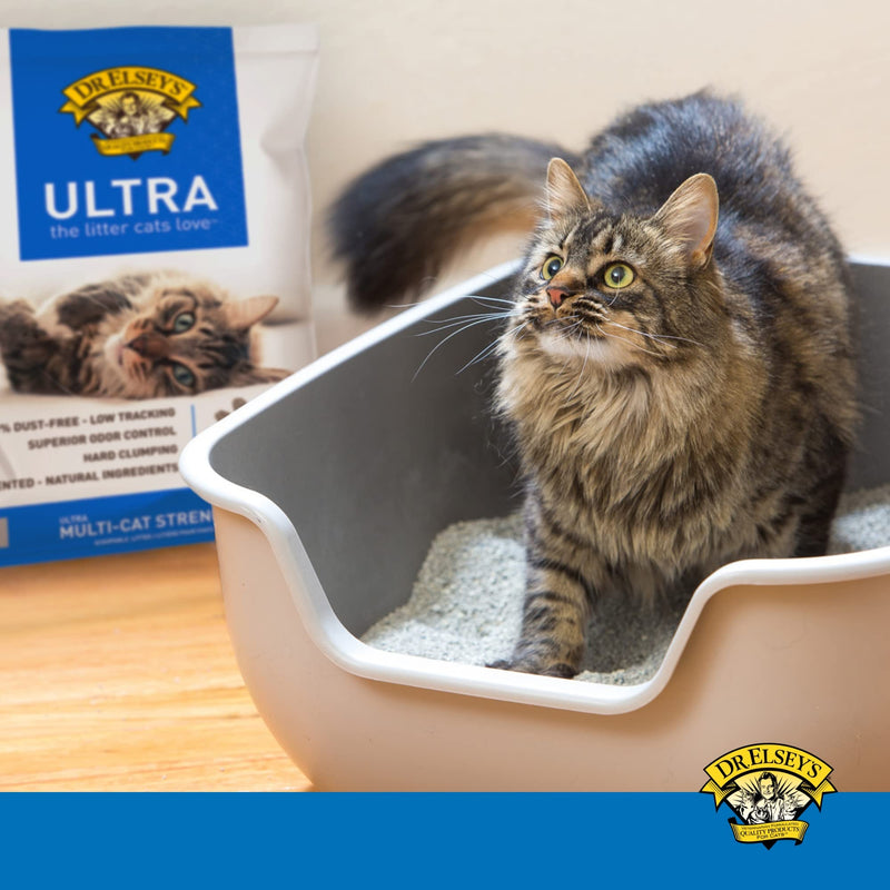 Ultra Unscented Clumping Clay Cat Litter, 40 lb - Mingle & Moa