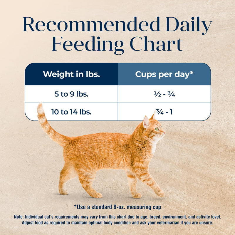 Blue Buffalo Basics Grain-Free Dry Cat Food, Indoor, Fish & Potato, 11 lb - Mingle & Moa