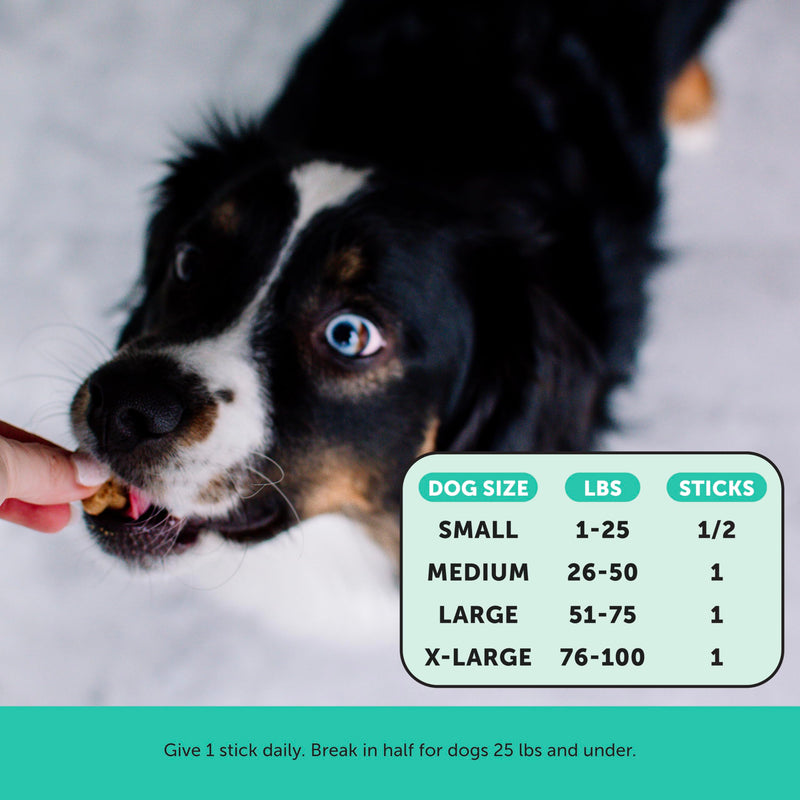 Dental Health Fresh Sticks for Dogs (16 Sticks) - Mingle & Moa